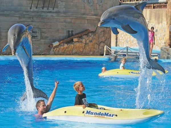 Vacanza Complex Μπένιντορμ Εξωτερικό φωτογραφία